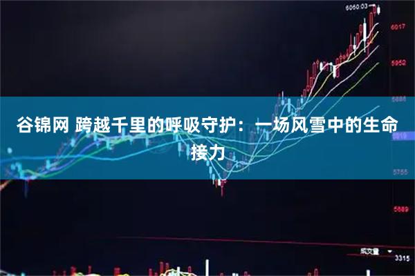 谷锦网 跨越千里的呼吸守护：一场风雪中的生命接力