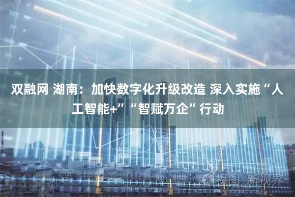 双融网 湖南：加快数字化升级改造 深入实施“人工智能+”“智赋万企”行动